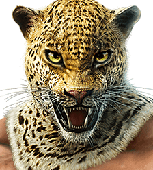 King
